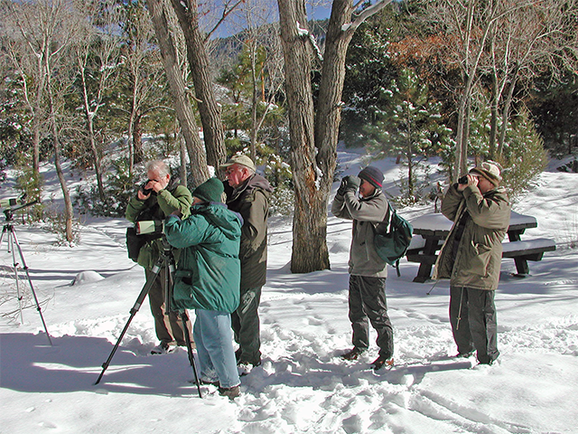 Birding in the Snow Photo by Ventures Birding